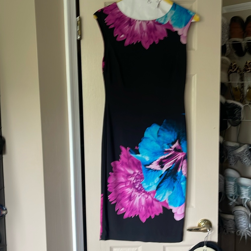 Cache dress.  Fitted when on